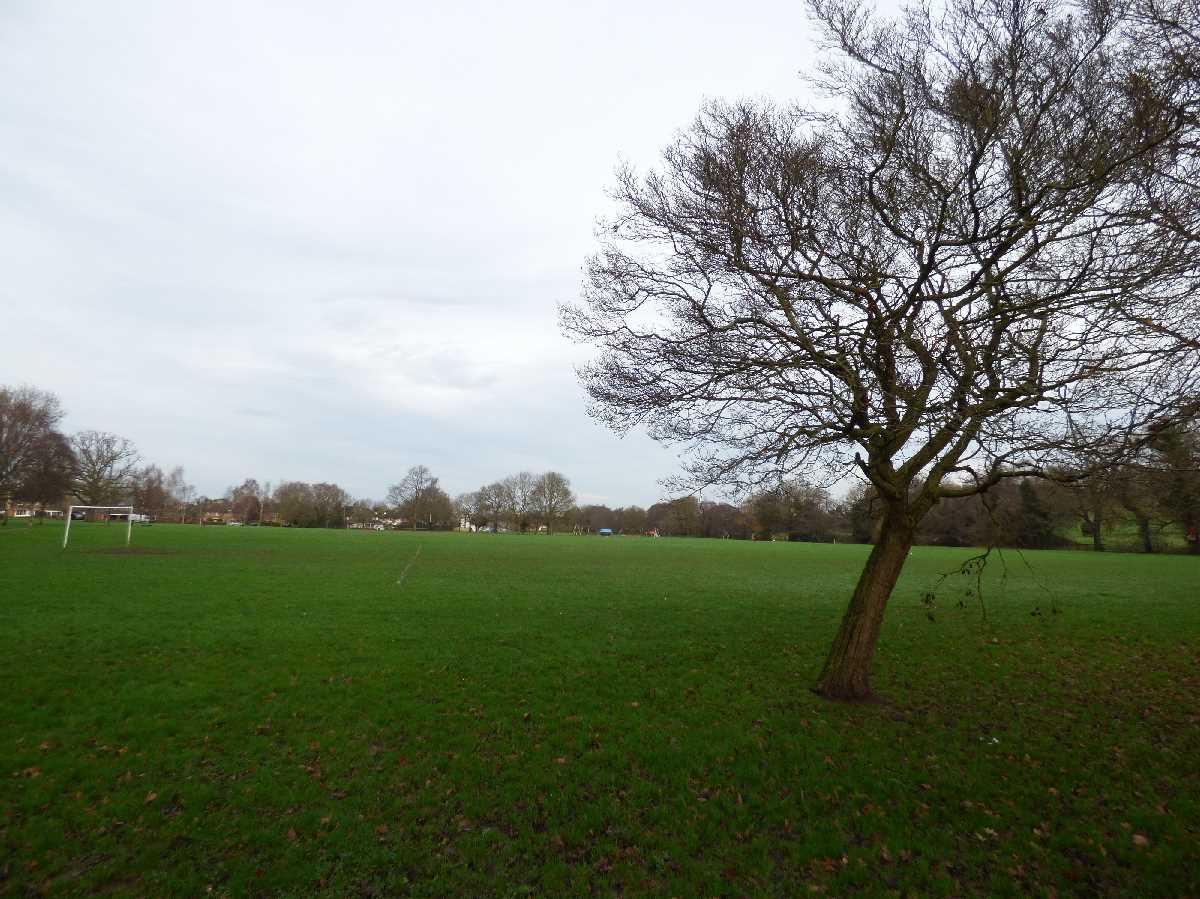 Elmdon Park, Solihull - A wonderful open space!
