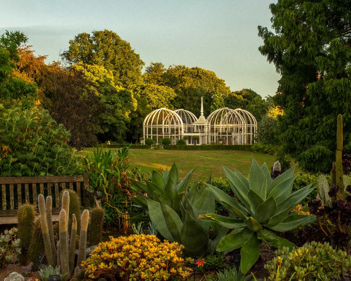 The Birmingham Botanical Gardens & Glasshouses, Birmingham, UK - A City Gem!